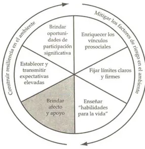 Figura 2: Modelo de promoción de la resiliencia, la rueda de la resiliencia de Henderson, N