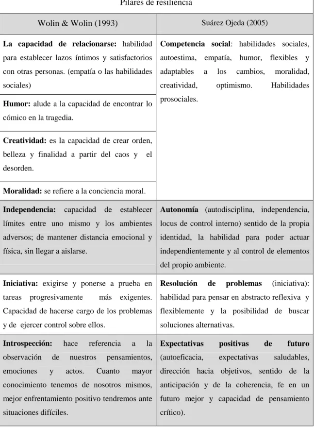 Tabla 6: Pilares de resiliencia. 