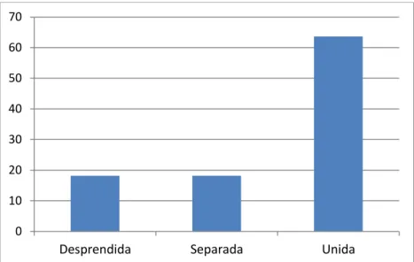 Figura 5: Categorización en porcentajes de los resultados según la puntuación obtenida en la  Escala de Adaptación Familiar
