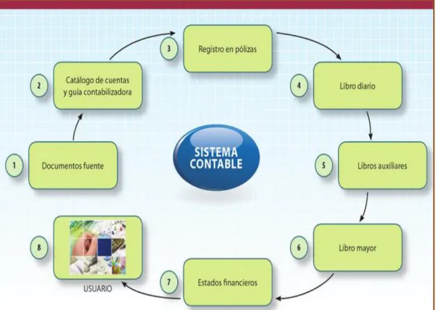 Gráfico 10 Esquema de Contabilidad 