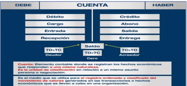 Gráfico 12 Catálogo General de Cuentas 