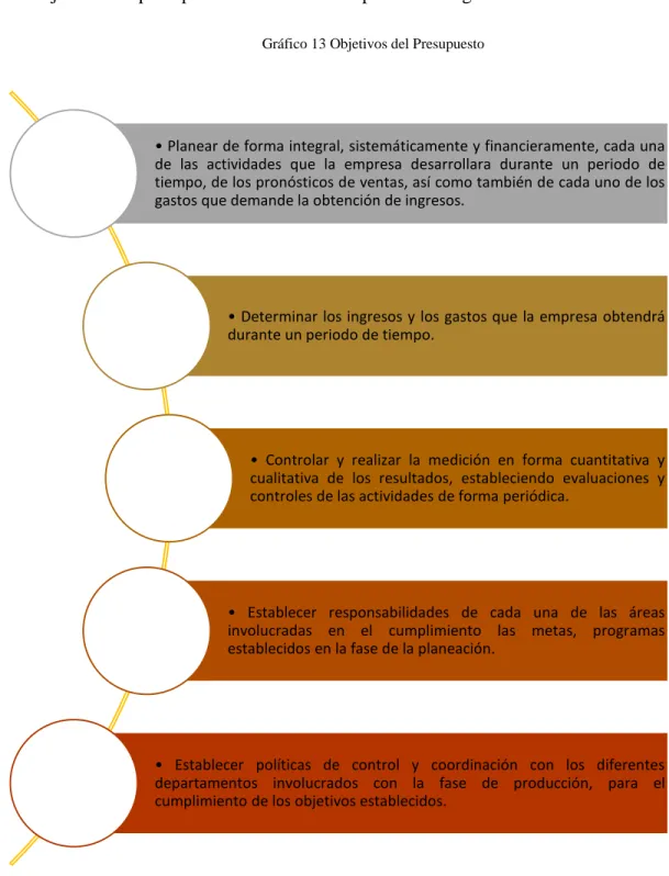 Gráfico 13 Objetivos del Presupuesto 