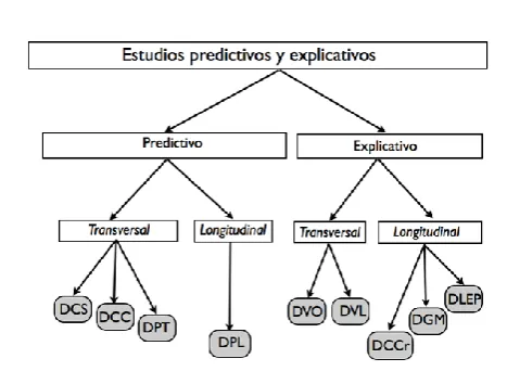 Figura 7. Diseños predictivos y explicativos. 