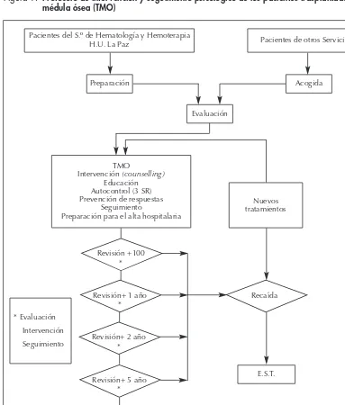 Figura 1. Protocolo de intervención y seguimiento psicológico de los pacientes trasplantados demédula ósea (TMO)