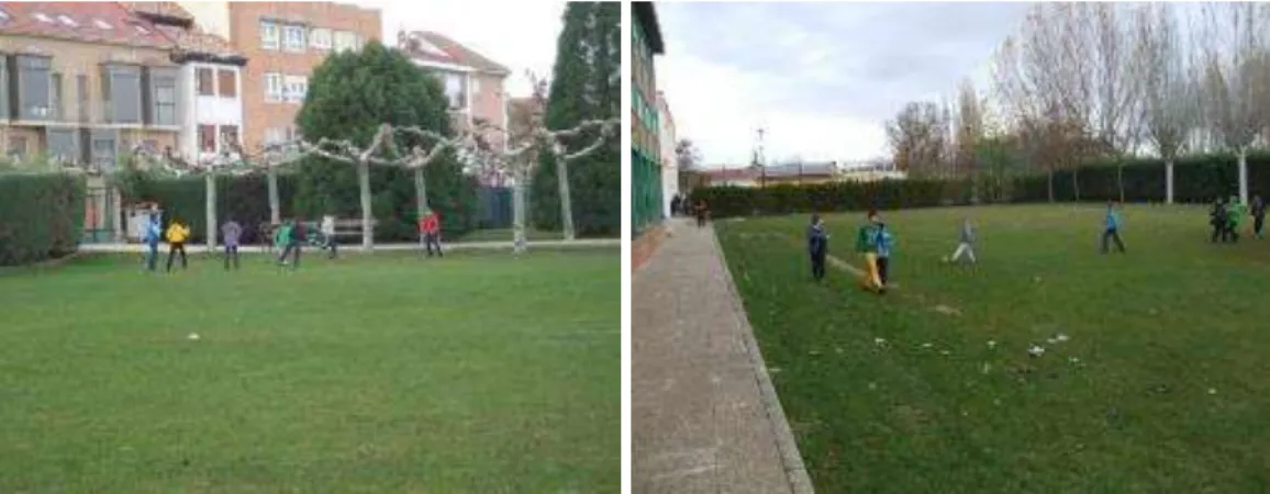 Foto 4: Parte del patio con zonas verdes 