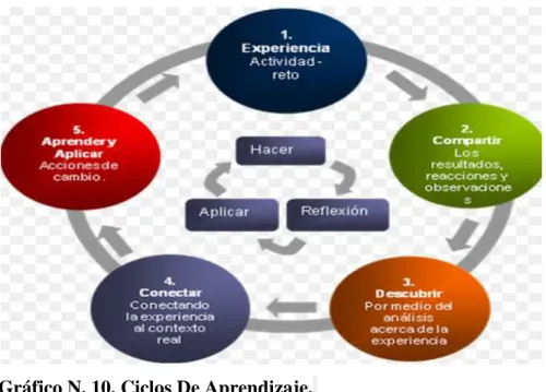 Gráfico N. 10. Ciclos De Aprendizaje.     