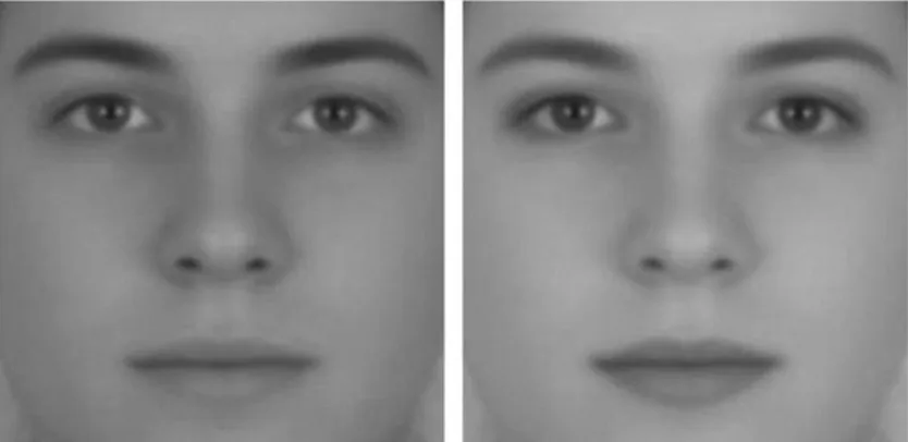 Figura 2.2. Ejemplo de manipulación de contraste tanto en piel como en ojos y labios  de una imagen andrógina