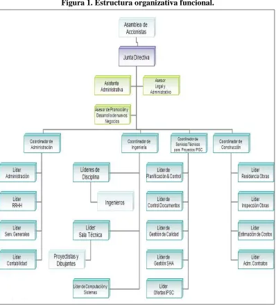 Figura 1. Estructura organizativa funcional.  