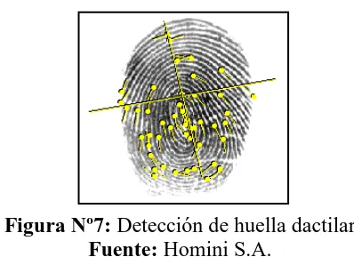 Figura Nº7: Detección de huella dactilar Fuente: Homini S.A. 