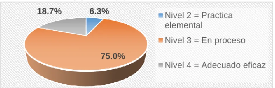 Gráfico N°5.2 