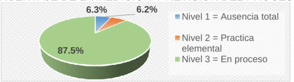 Gráfico N°5.5  