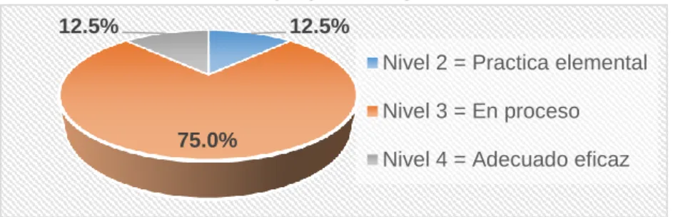 Gráfico N°5.8  