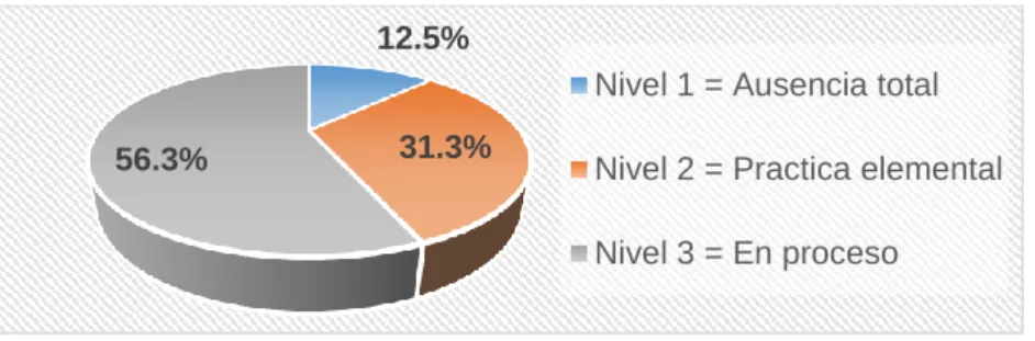 Gráfico N°5.11 