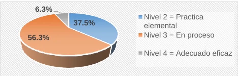 Gráfico N°5.12  