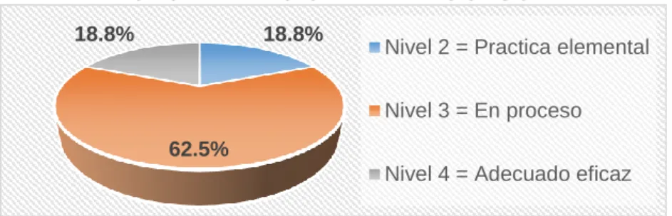 Gráfico N° 5.15  