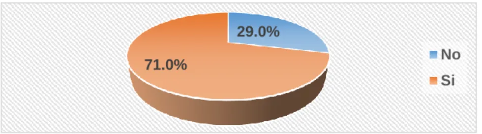Gráfico N°5.19  