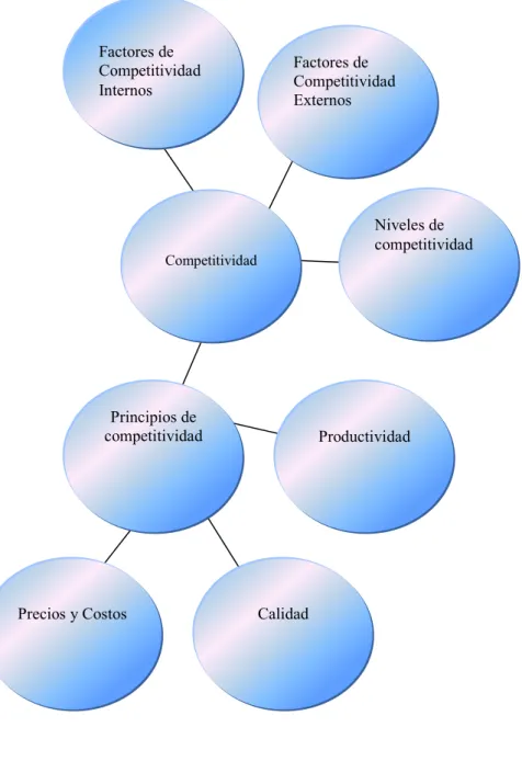 Gráfico No. 4: Categorías Fundamentales 