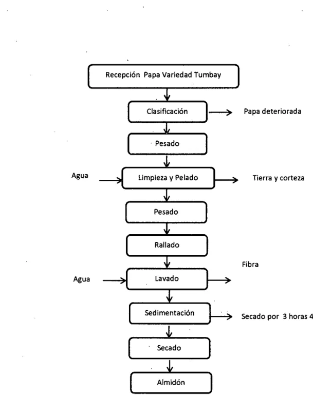 Figura 6. Proceso de obtención del almidón de variedades de papa  Fuente: Benavides y Pozo (2008) 