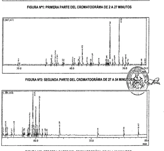 FIGURA N°3: TERCERA PARTE DEL CROMATOGRAMA DE 54 A no MINUTOS