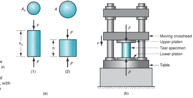 FIGURE 3.7 Compression test: (a) compression force applied to test piece in (1), and (2) resulting change in height; and (b) setup for the test, with size of test specimen exaggerated.