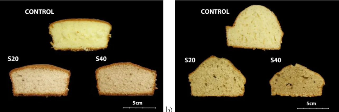 Figure 1. Cross-section of sponge (a) and layer cakes (b). S20 and S40: 20% and 40% sugar  substitution by ripe banana flour, respectively