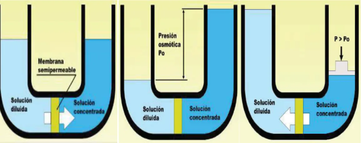 Figura 2. Fundamentos físicos del osmosis inversa  Fuente: Fariñas M. (2003)