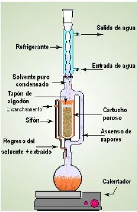 Figura 4. Extracción con Soxhlet en el momento en que se produce el sifonamiento del solvente