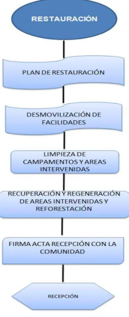 Gráfico N° 13 
