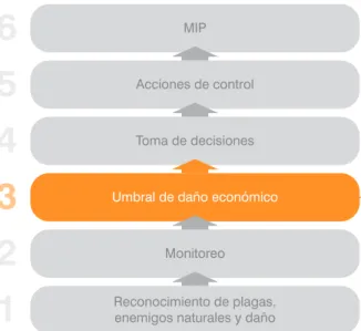 Figura 2-15 Tercer componente del MIP.