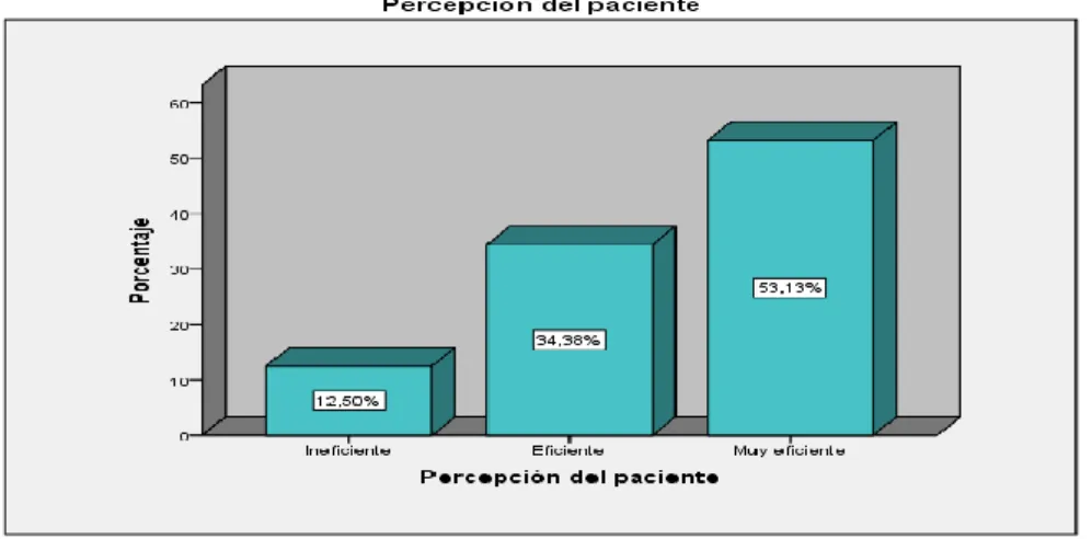 GRÁFICO 1.  