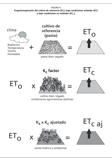 FIGURA 4