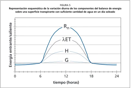 FIGURA 5
