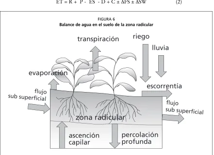 FIGURA 6