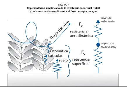 FIGURA 7
