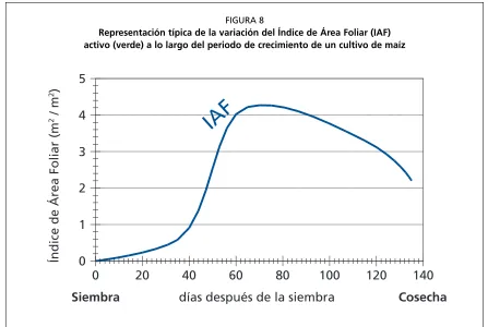 FIGURA 8