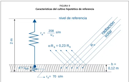 FIGURA 9