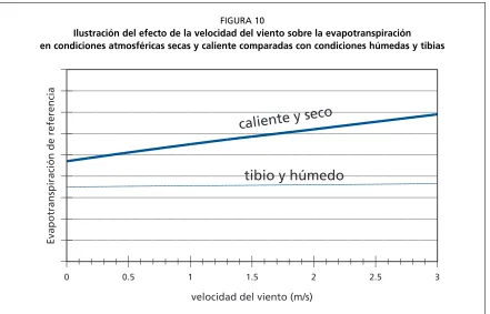 FIGURA 10