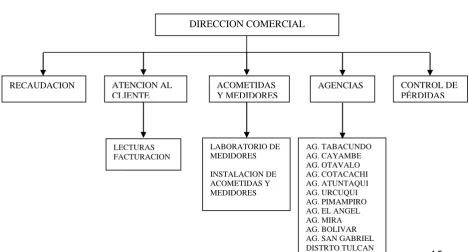 Figura 2  Estructura interna de la dirección comercial 