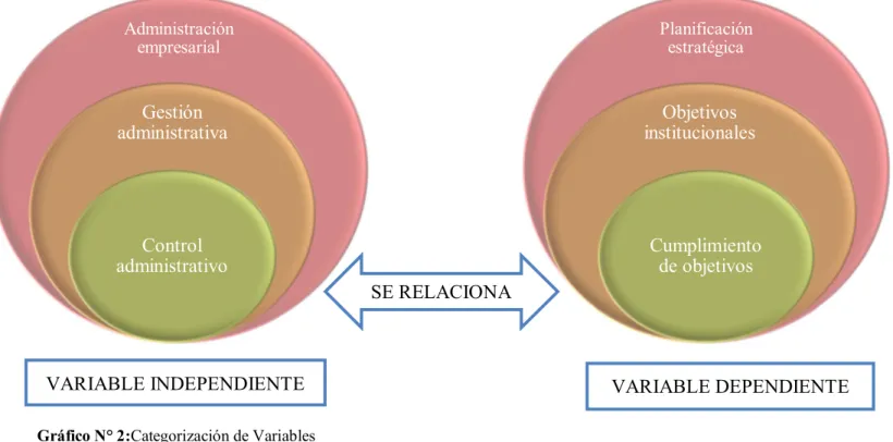 Gráfico N° 2:Categorización de Variables 