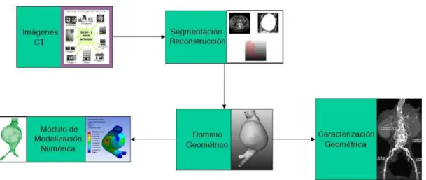Figura 3. Representación esquemática de la transformación de imágenes médicas.  