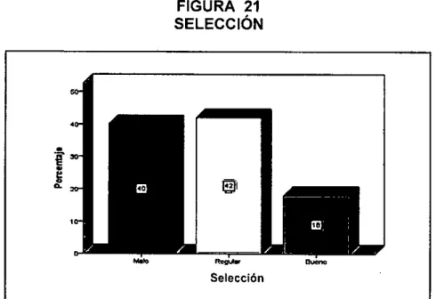 FIGURA 21  SELECCIÓN 
