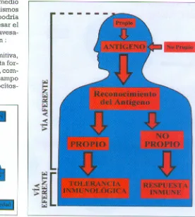 Fig. 1. Inmunidad natural y adquirida.