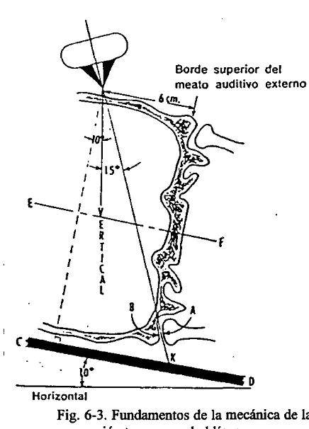 Fig. 6-2. Punto de referencia para la entradarayocentral en la proyección lateral oblfcua.