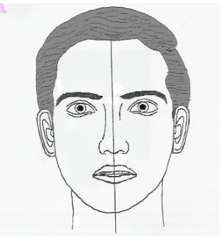 Figura 14: A = punto entre las cejas; B = punto debajo de la nariz; C = mentón (perfil y  frente)