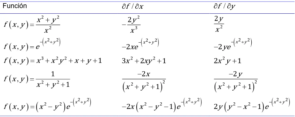 Fig. 13. Interpretación geométrica de la derivada parcial 