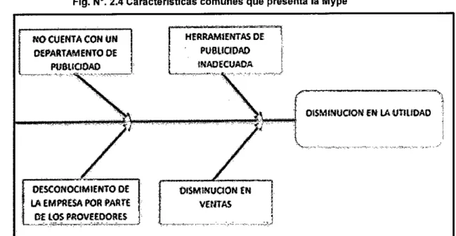Fig. N°. 2.4 Características comunes que presenta la Mype 