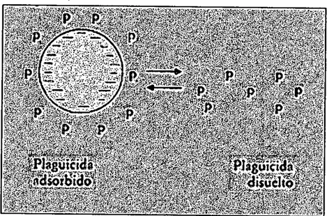 Figura  4: Degradación de plaguicidas 