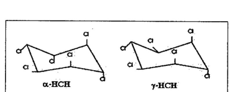Figura 6: Isómeros en las mezclas técnicas de hexaclorociclohexanos. 