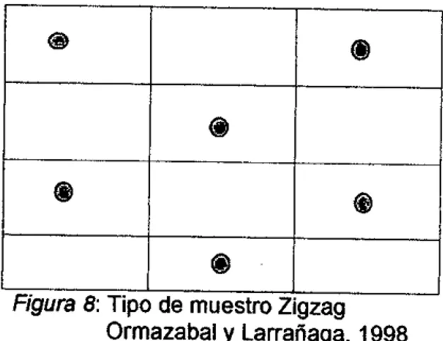 Figura 8:  Tipo de muestro Zigzag  Ormazabal y Larrañaga, 1998 