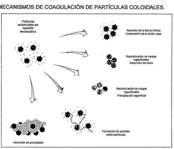 FIGURA No:  4.2 